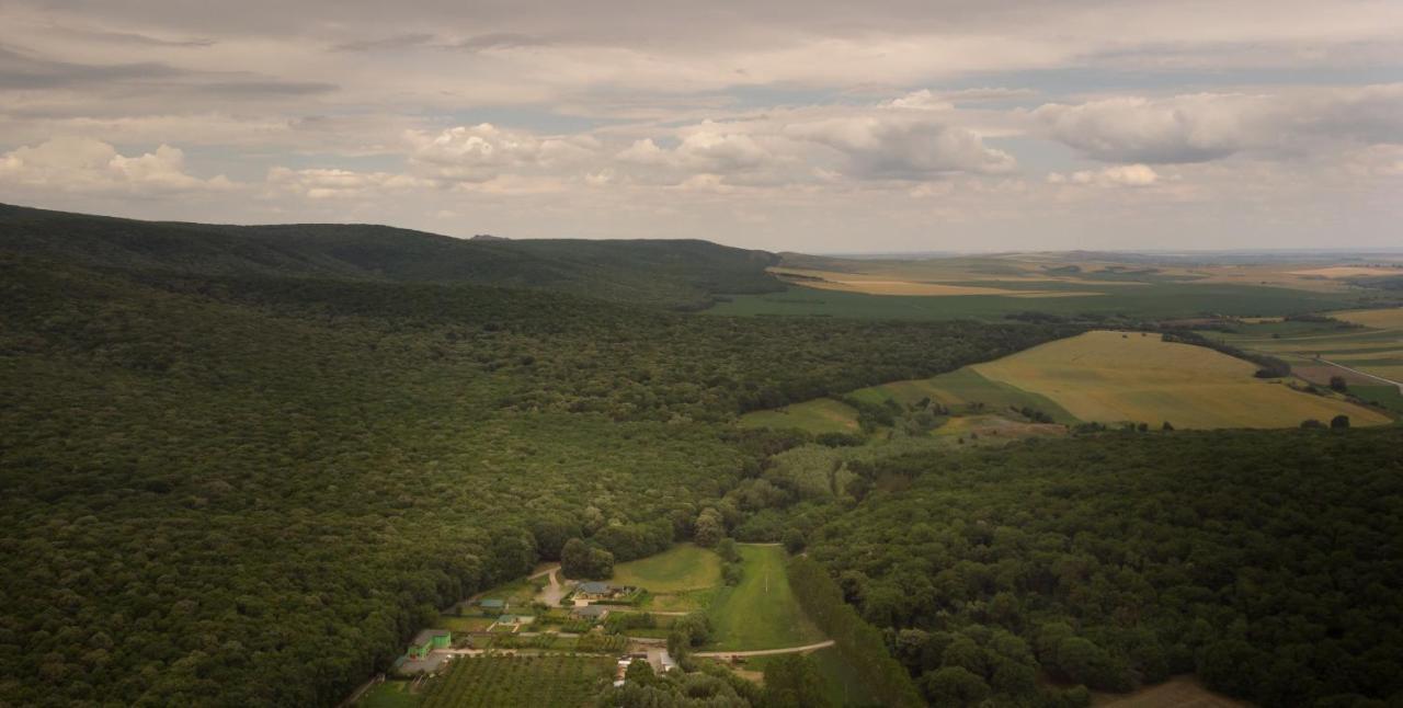 Agropensiunea Cetatuia Luncavita Exteriör bild