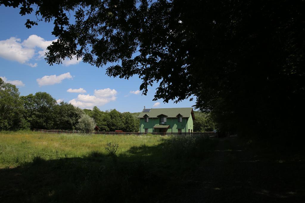 Agropensiunea Cetatuia Luncavita Exteriör bild