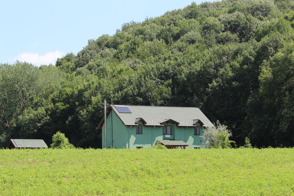 Agropensiunea Cetatuia Luncavita Exteriör bild