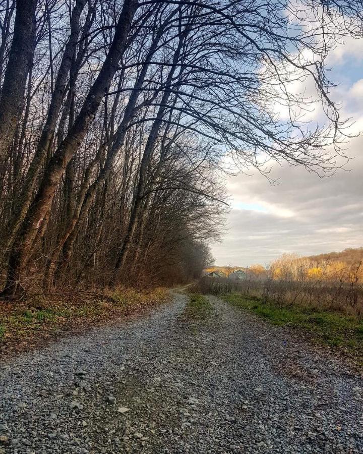 Agropensiunea Cetatuia Luncavita Exteriör bild