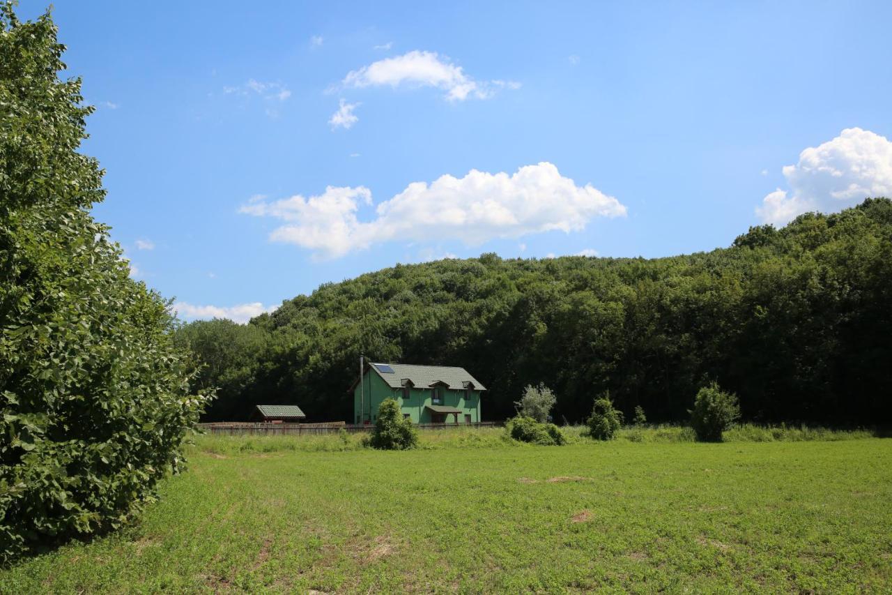 Agropensiunea Cetatuia Luncavita Exteriör bild